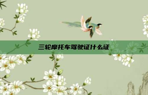 三轮摩托车驾驶证什么证