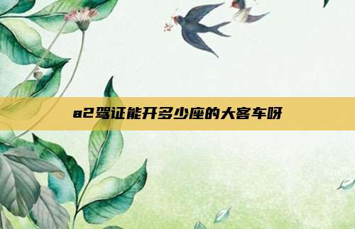 a2驾证能开多少座的大客车呀