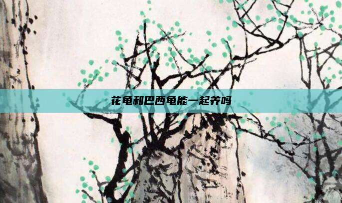 花龟和巴西龟能一起养吗