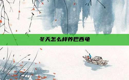 冬天怎么样养巴西龟