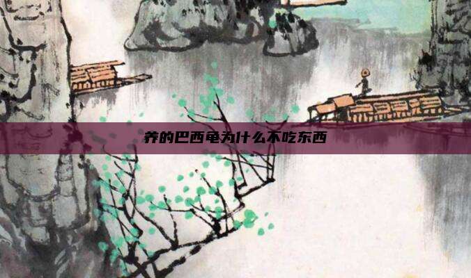 养的巴西龟为什么不吃东西
