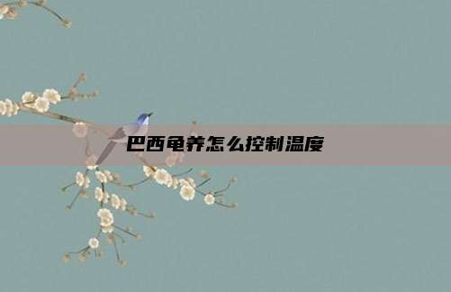 巴西龟养怎么控制温度