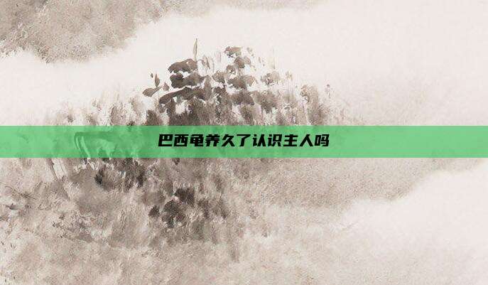 巴西龟养久了认识主人吗