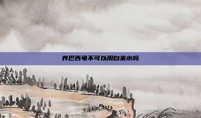 养巴西龟不可以用自来水吗