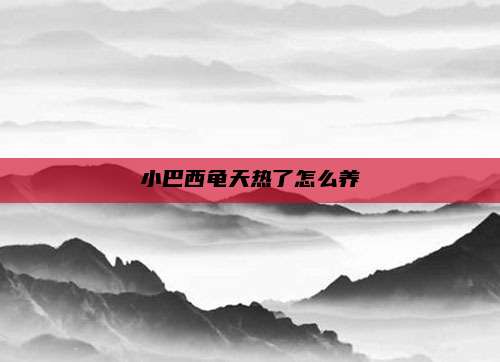 小巴西龟天热了怎么养