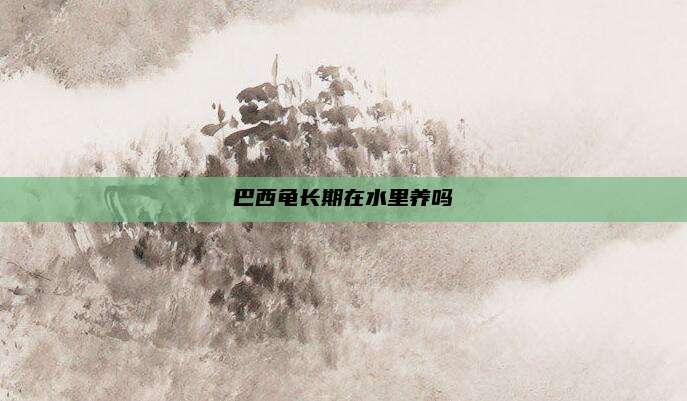 巴西龟长期在水里养吗