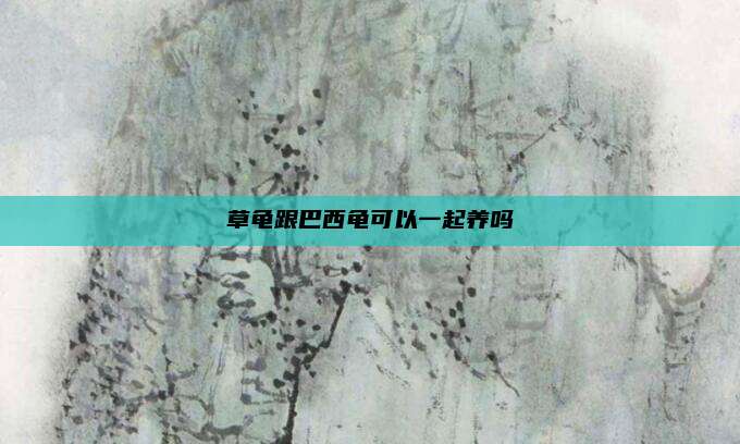 草龟跟巴西龟可以一起养吗