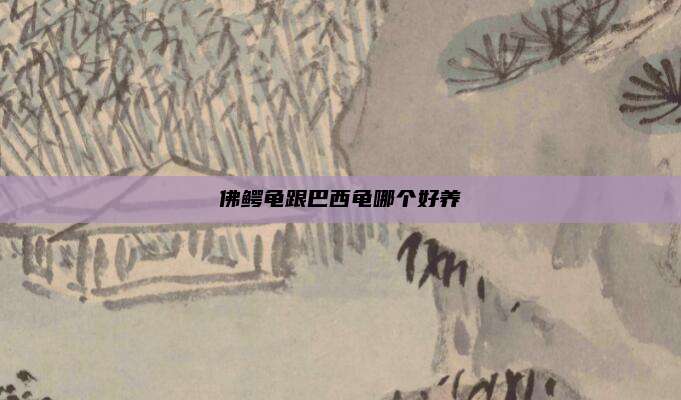 佛鳄龟跟巴西龟哪个好养
