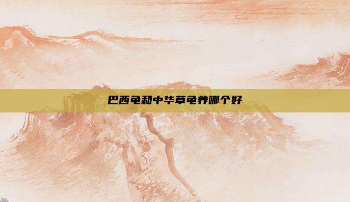 巴西龟和中华草龟养哪个好