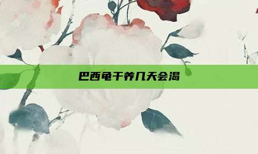 巴西龟干养几天会渴