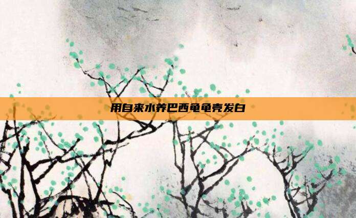 用自来水养巴西龟龟壳发白