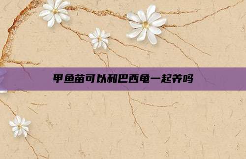 甲鱼苗可以和巴西龟一起养吗