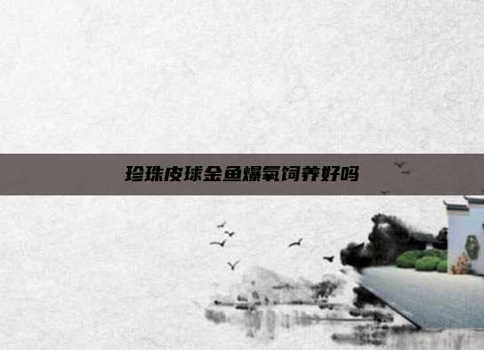 珍珠皮球金鱼爆氧饲养好吗