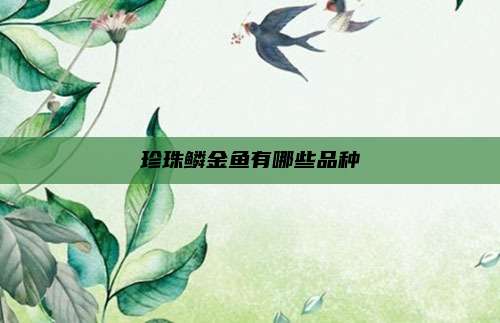 珍珠鳞金鱼有哪些品种