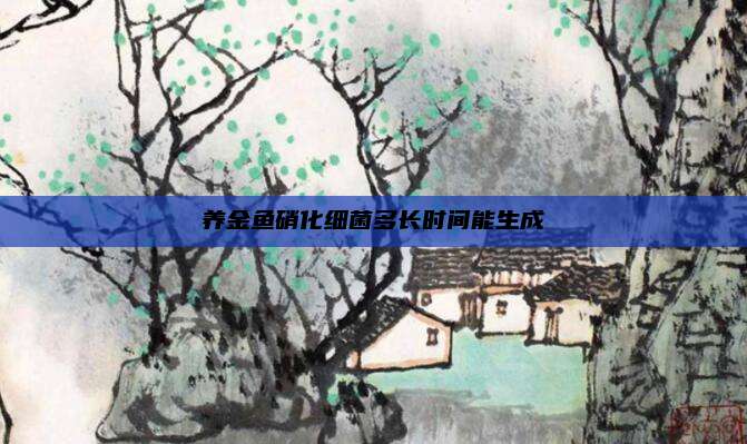 养金鱼硝化细菌多长时间能生成