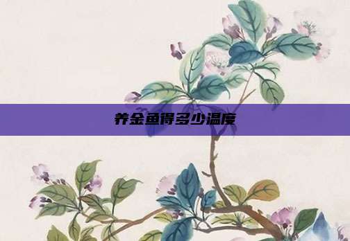 养金鱼得多少温度