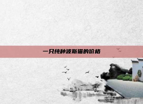 一只纯种波斯猫的价格