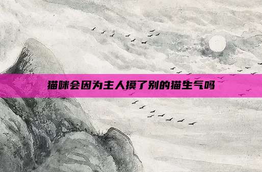 猫咪会因为主人摸了别的猫生气吗