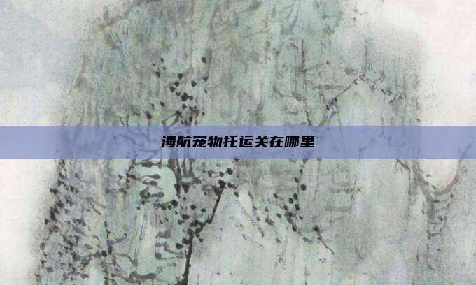 海航宠物托运关在哪里
