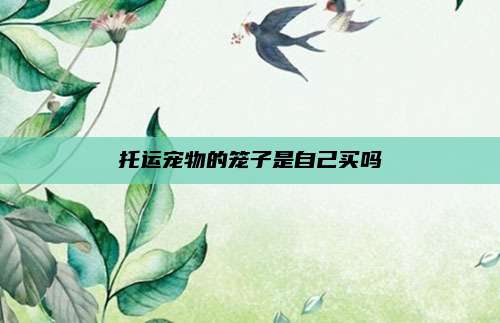 托运宠物的笼子是自己买吗
