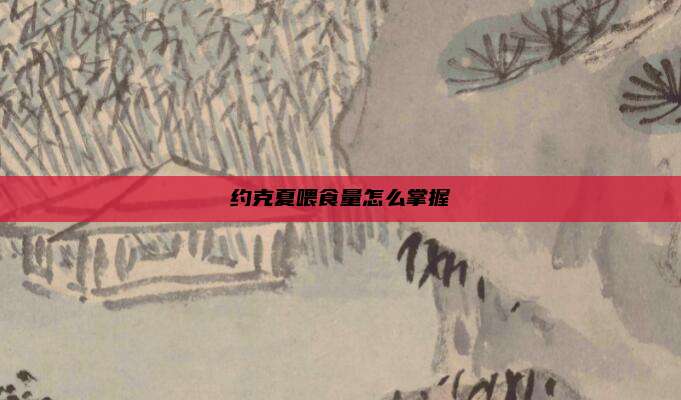 约克夏喂食量怎么掌握