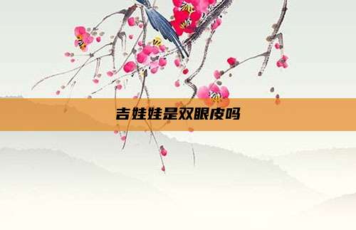 吉娃娃是双眼皮吗