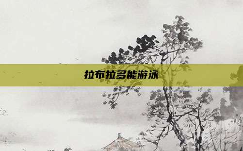 拉布拉多能游泳