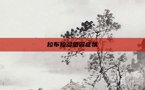 拉布拉多感冒症状