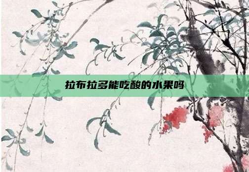 拉布拉多能吃酸的水果吗