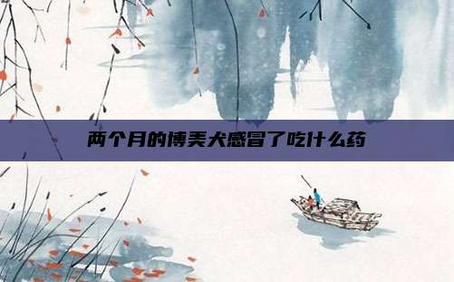 两个月的博美犬感冒了吃什么药