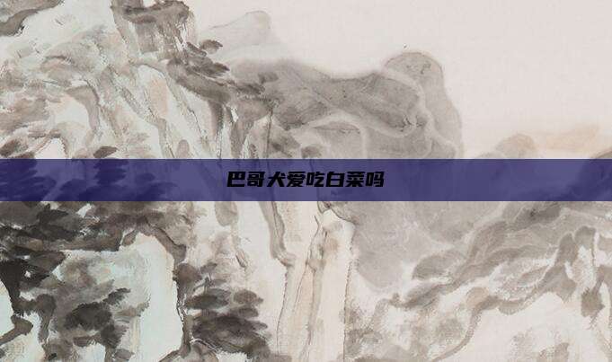 巴哥犬爱吃白菜吗