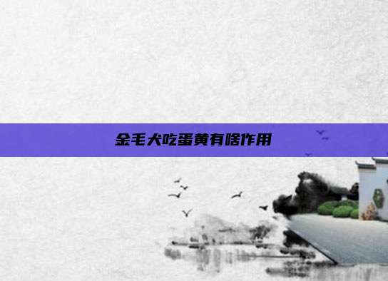金毛犬吃蛋黄有啥作用