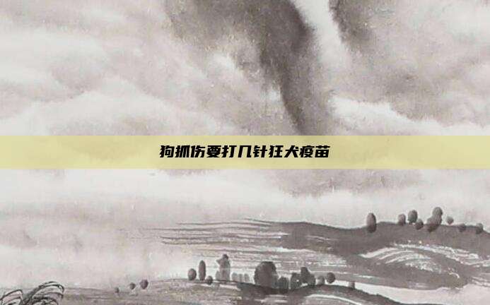 狗抓伤要打几针狂犬疫苗
