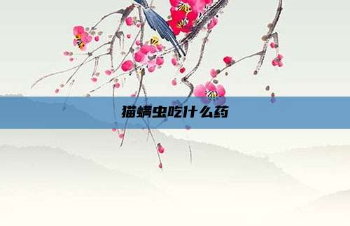 猫螨虫吃什么药
