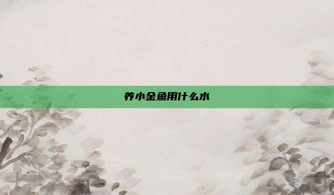 养小金鱼用什么水