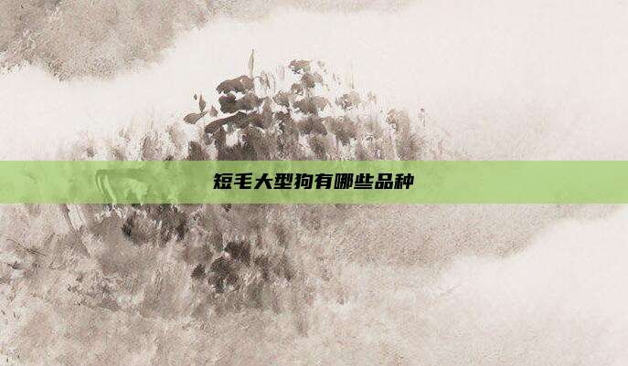 短毛大型狗有哪些品种