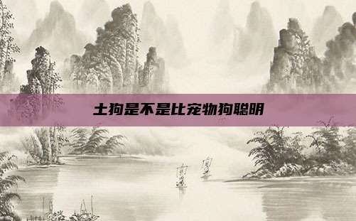 土狗是不是比宠物狗聪明