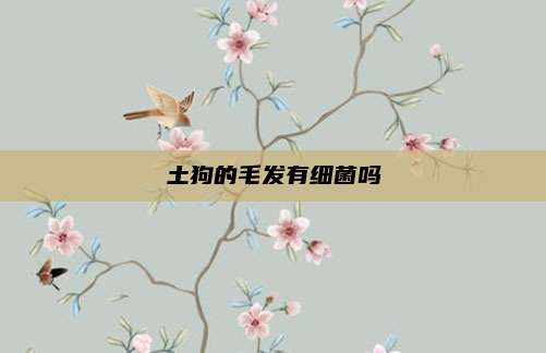 土狗的毛发有细菌吗