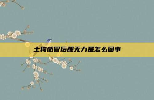 土狗感冒后腿无力是怎么回事