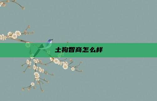 土狗智商怎么样
