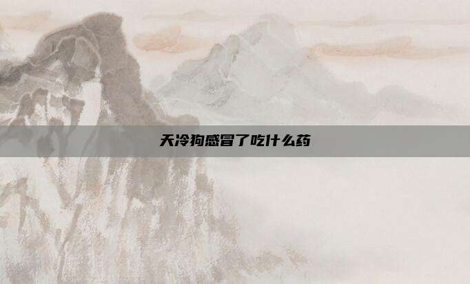 天冷狗感冒了吃什么药