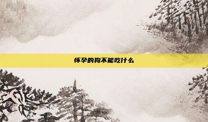 怀孕的狗不能吃什么