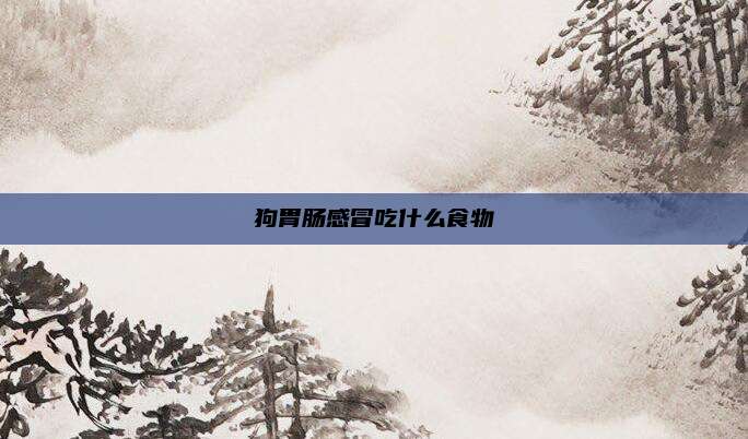 狗胃肠感冒吃什么食物