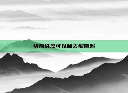 给狗洗澡可以除去细菌吗