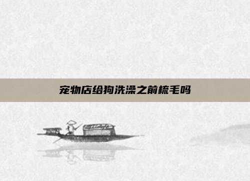 宠物店给狗洗澡之前梳毛吗
