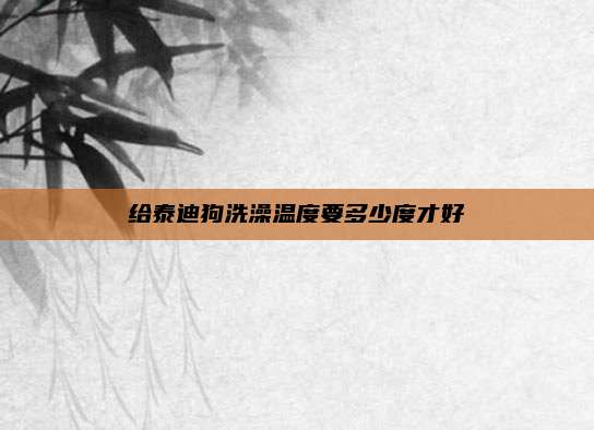 给泰迪狗洗澡温度要多少度才好