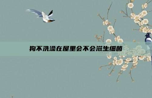 狗不洗澡在屋里会不会滋生细菌