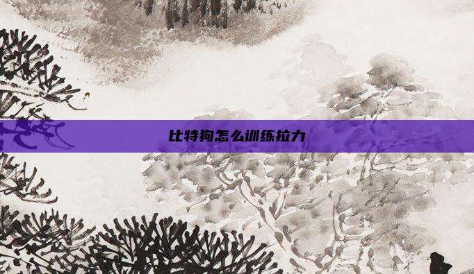 比特狗怎么训练拉力