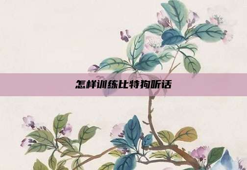 怎样训练比特狗听话