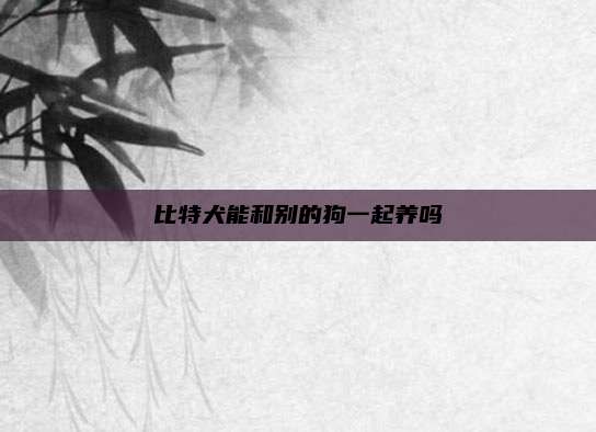 比特犬能和别的狗一起养吗